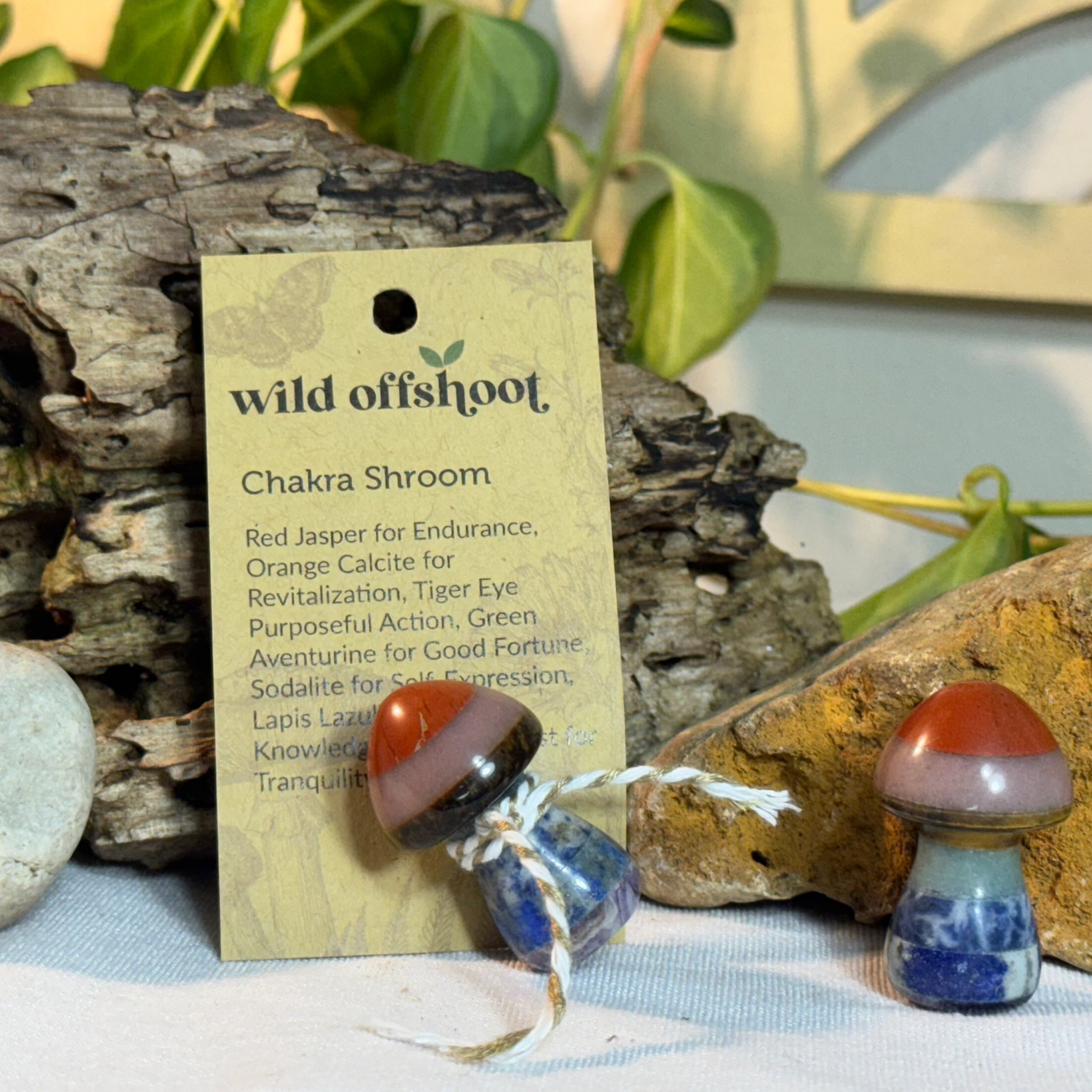 Chakra Shroom  on a 'wild offshoot' card with natural background