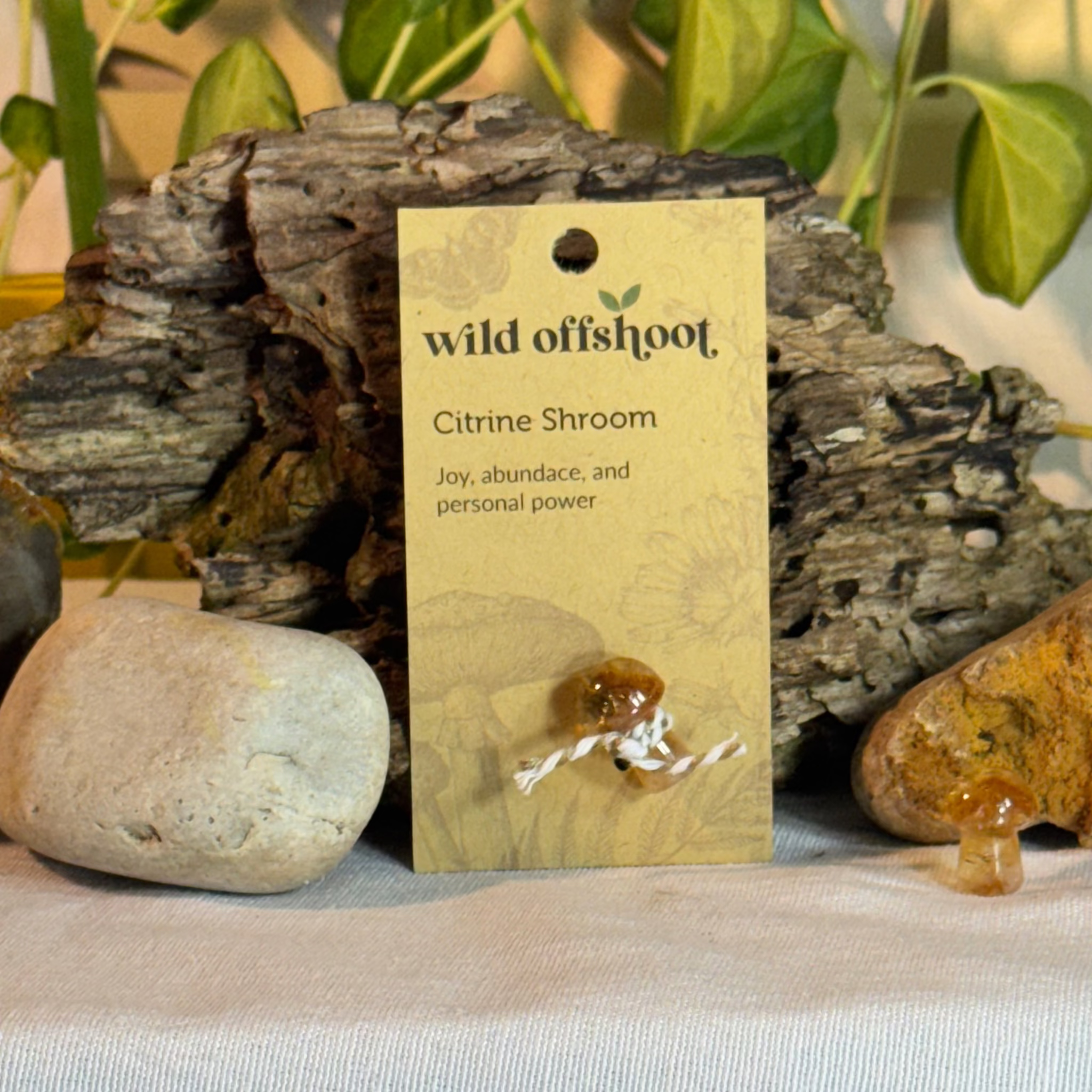  Citrine Shroom  on a 'wild offshoot' card with natural background