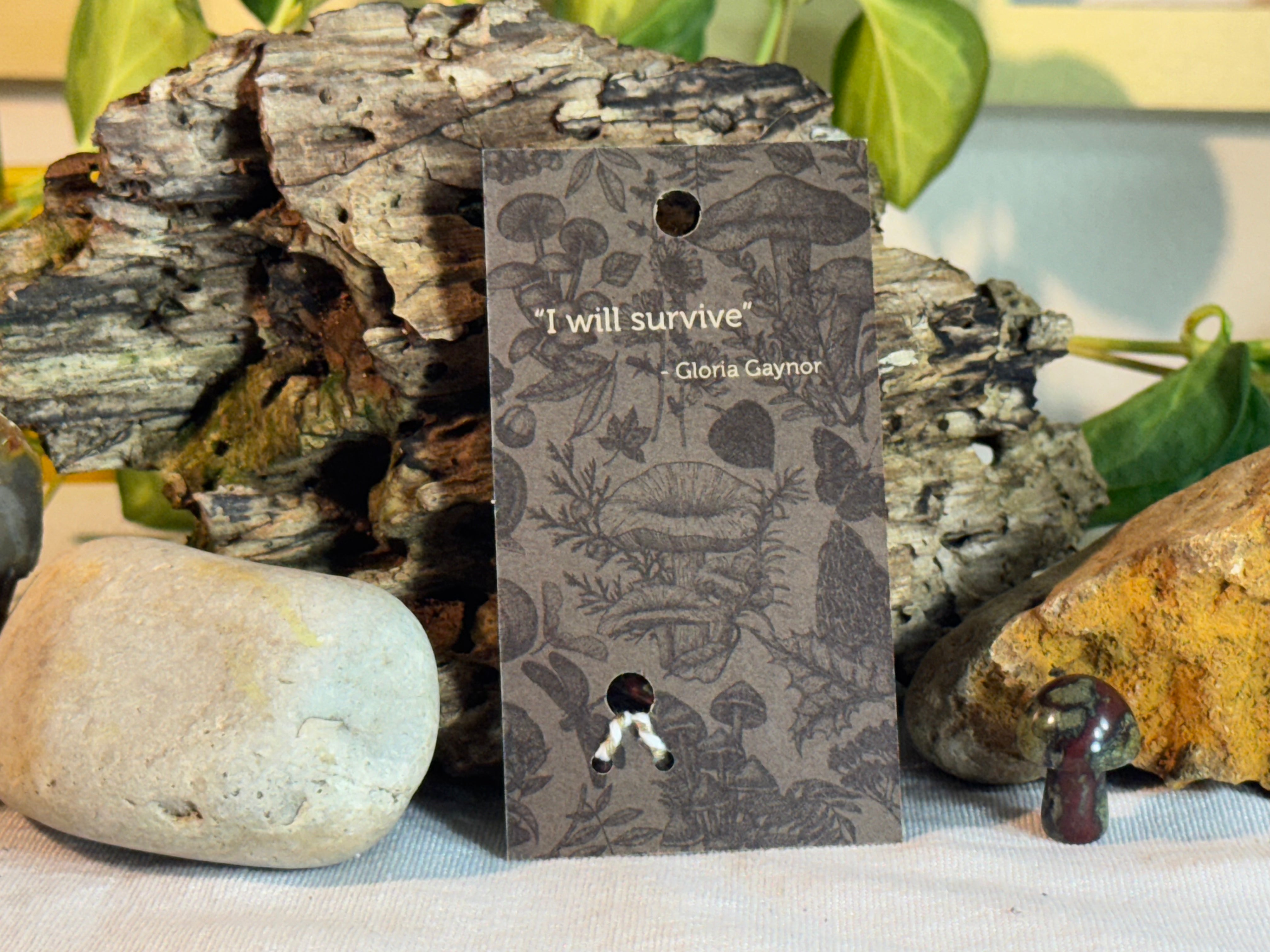 Card with mushroom design and a Gloria Gaynor quote on a natural background