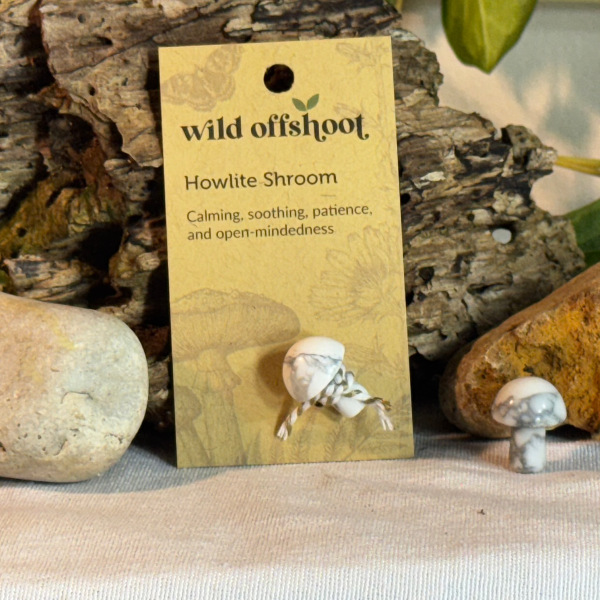 Howlite Shroom  on a 'wild offshoot' card with natural background