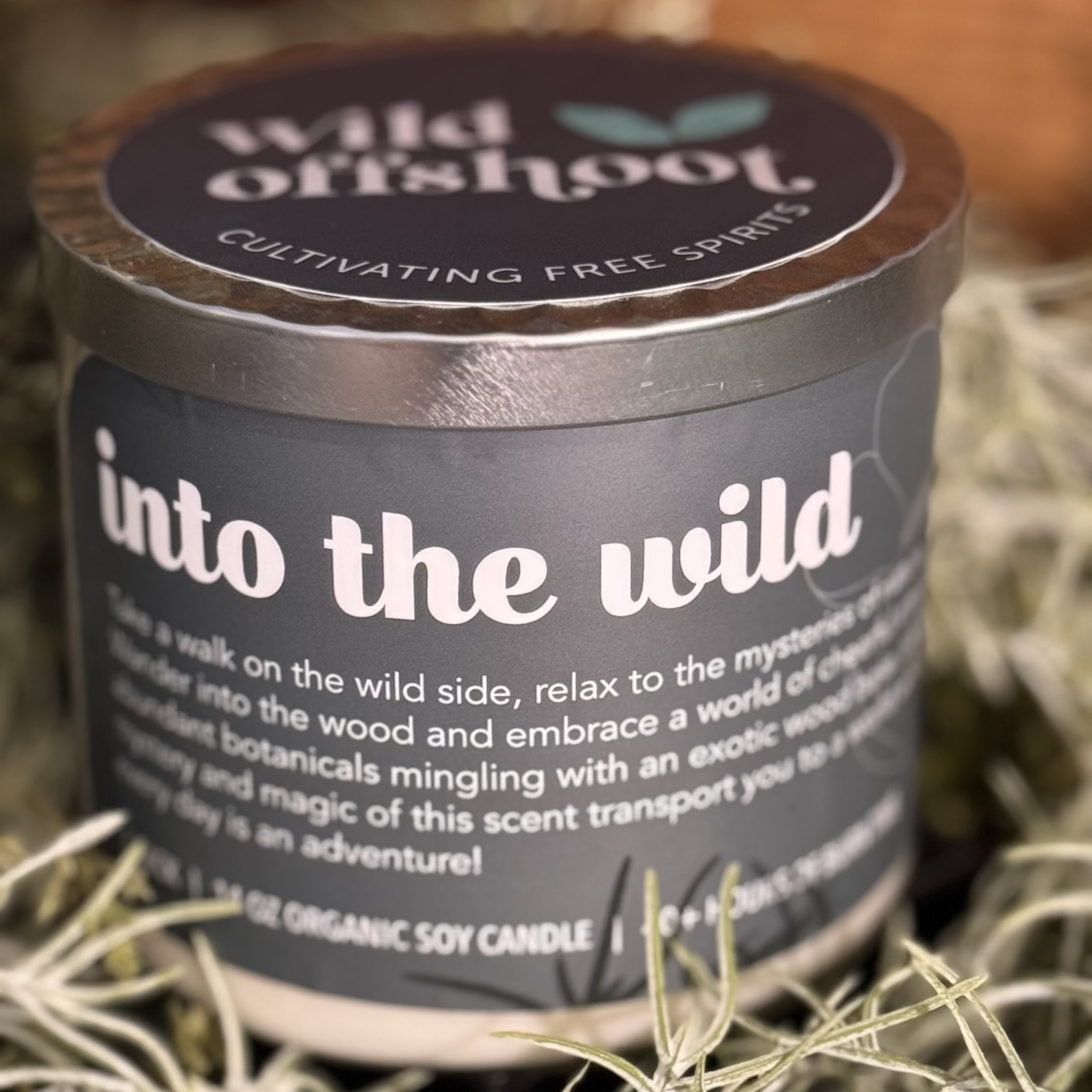 A 14 oz soy candle labeled 'Into the Wild' by Wild Offshoot, botanicals, woodsy three wick with 40 hours of burn time.