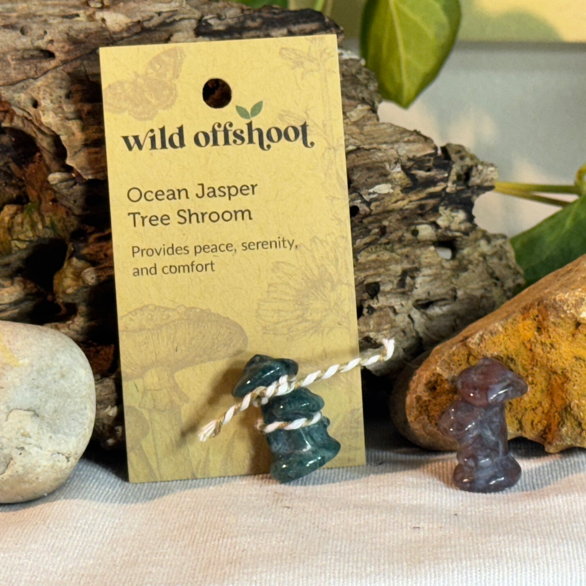 Ocean Jasper Tree Shroom  on a 'wild offshoot' card with natural background