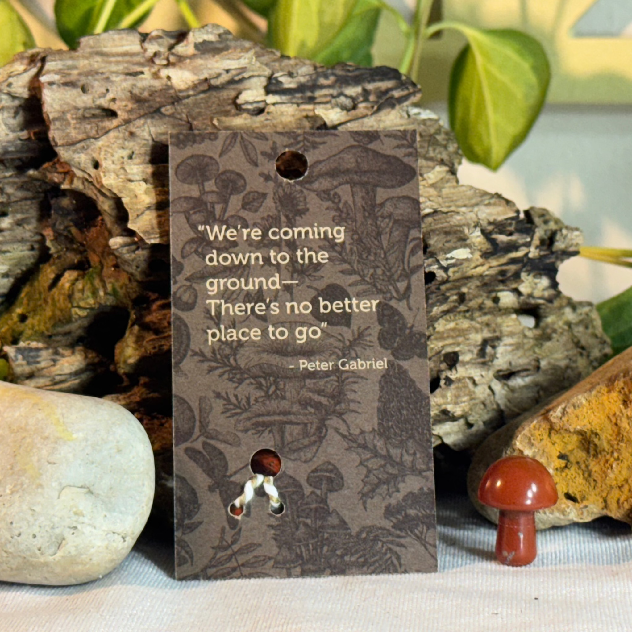 Card with mushroom design and a quote from Peter Gabriel on a natural background