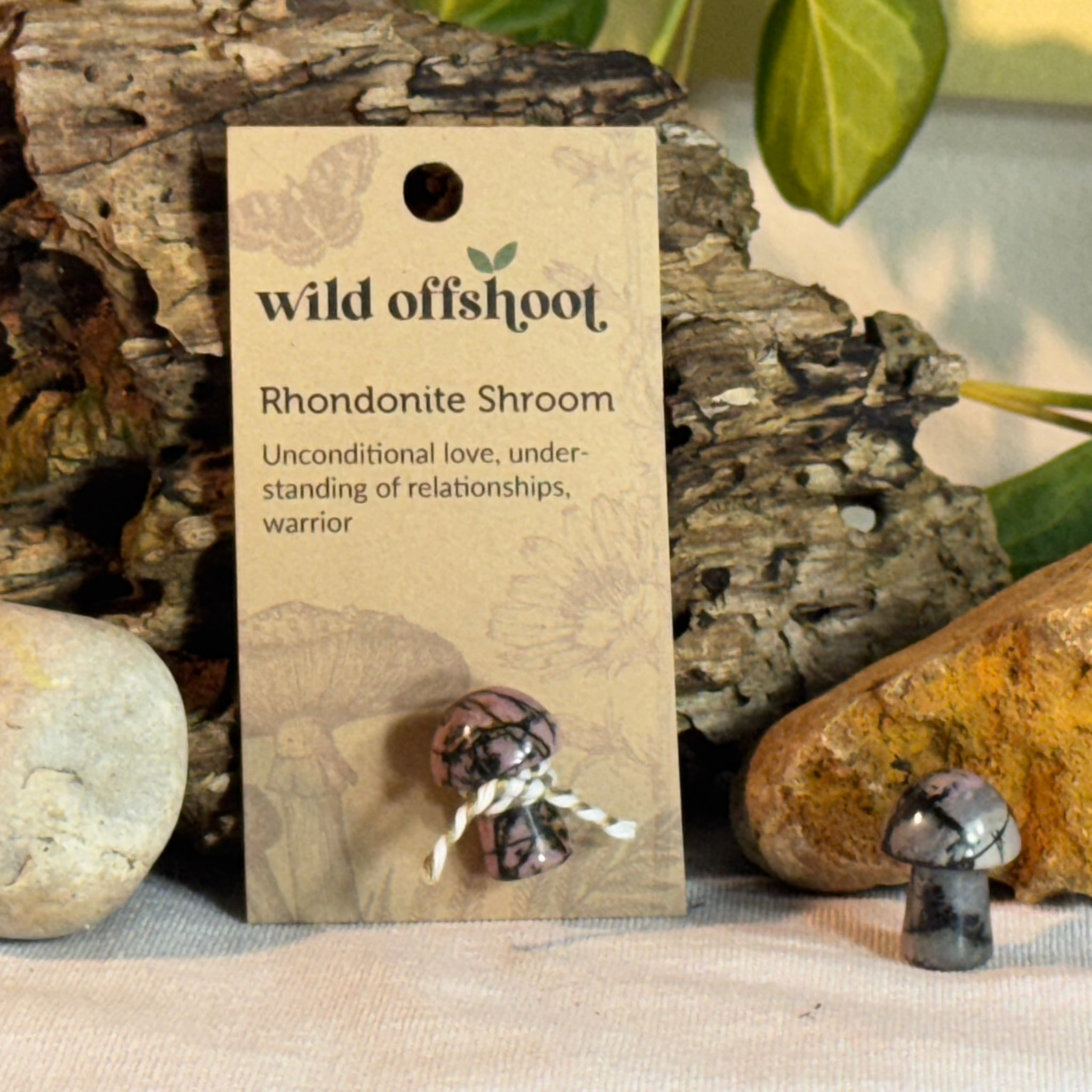 Rhondonite Shroom  on a 'wild offshoot' card with natural background