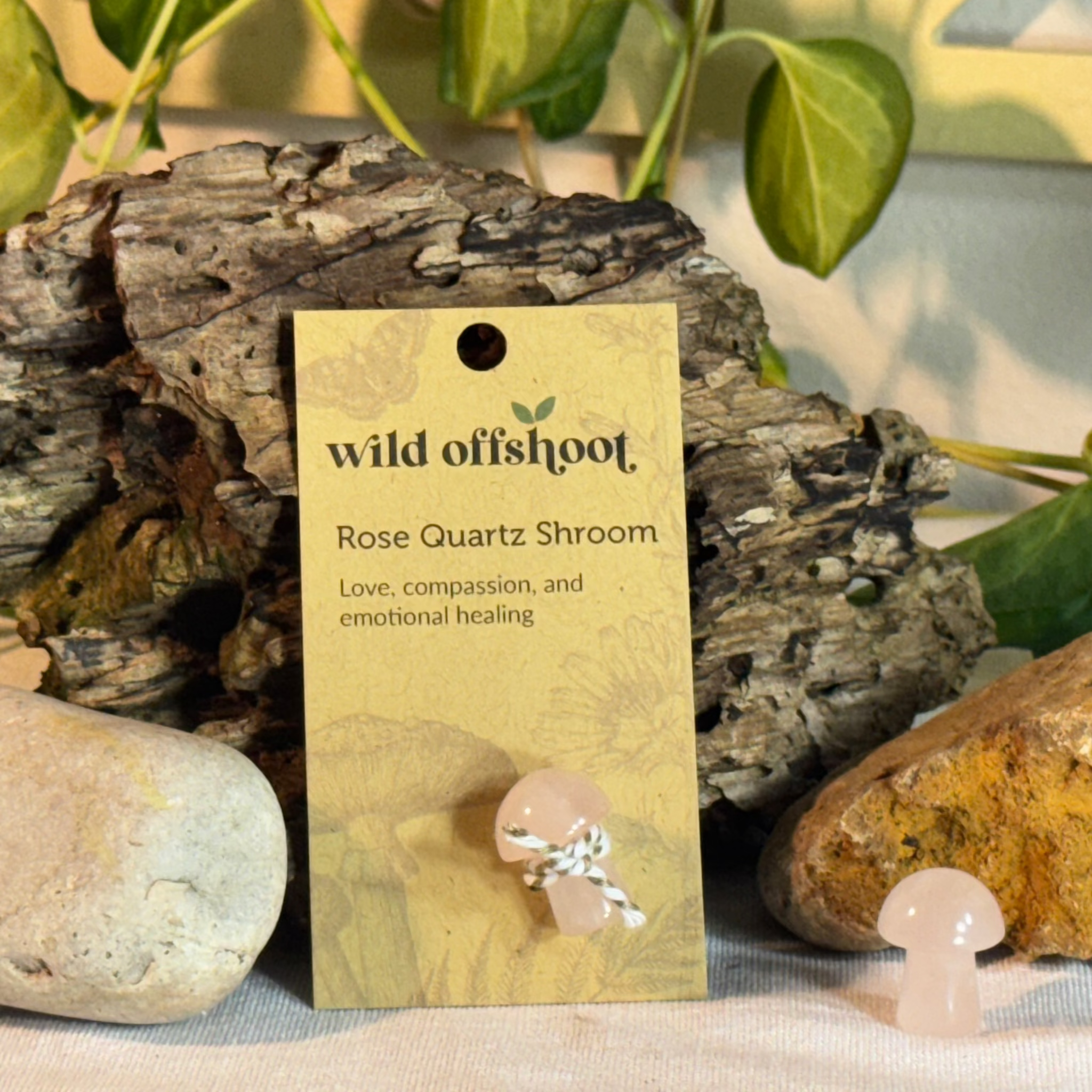 Rose Quartz Shroom  on a 'wild offshoot' card with natural background