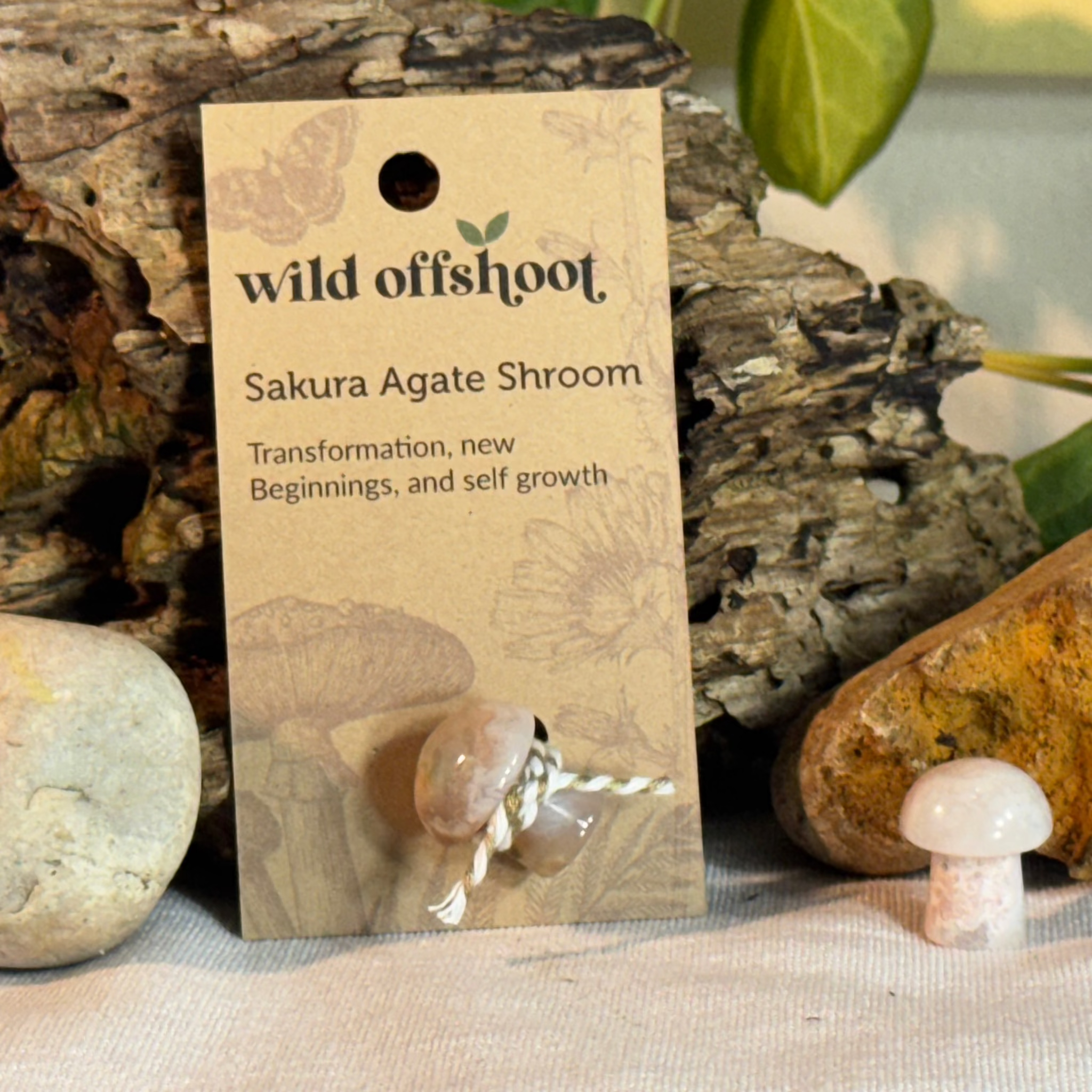 Sakura Agate Shroom  on a 'wild offshoot' card with natural background