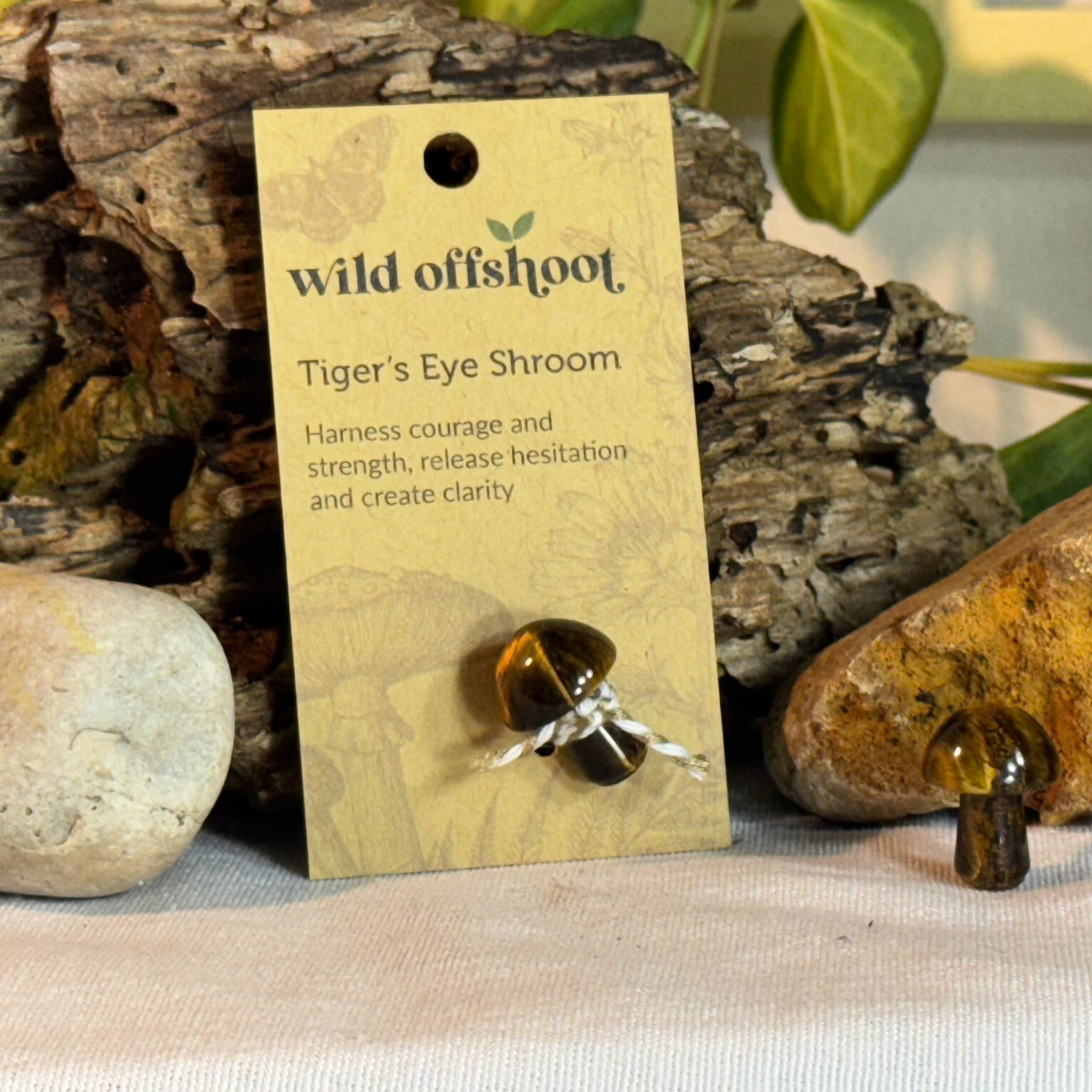 Tiger's Eye Shroom  on a 'wild offshoot' card with natural background