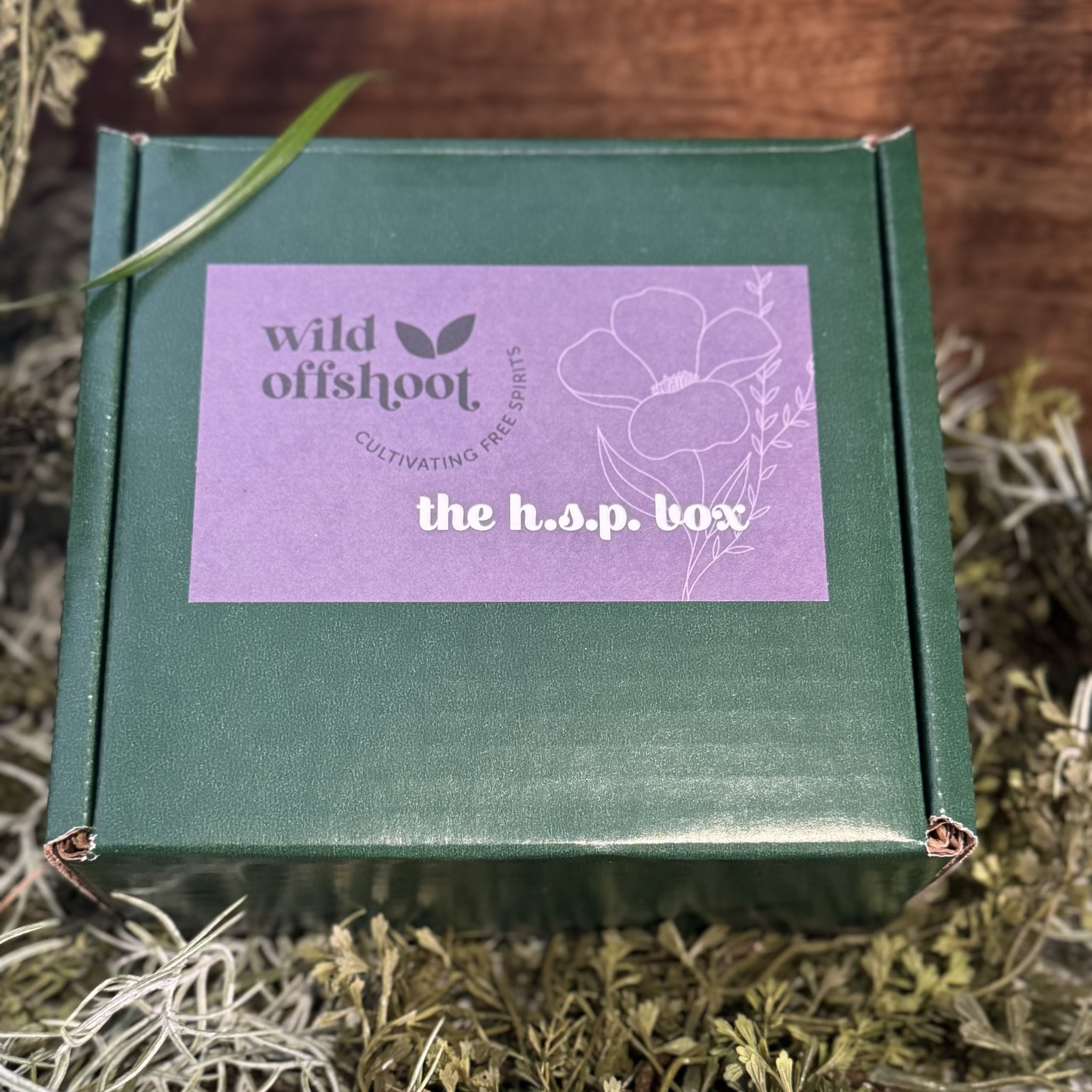 A green box labeled 'Wild Offshoot' labeled 'The H.S.P. Box'